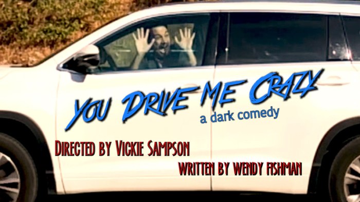 you_drive_me_crazy_movie_poster