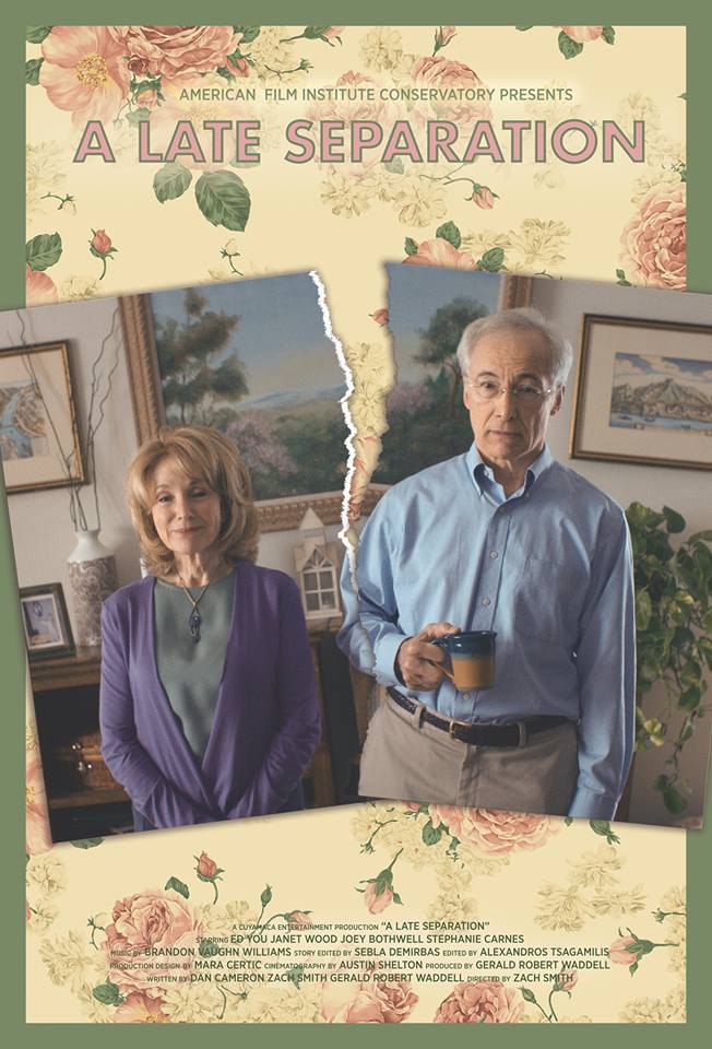 a_late_separation_movie_poster